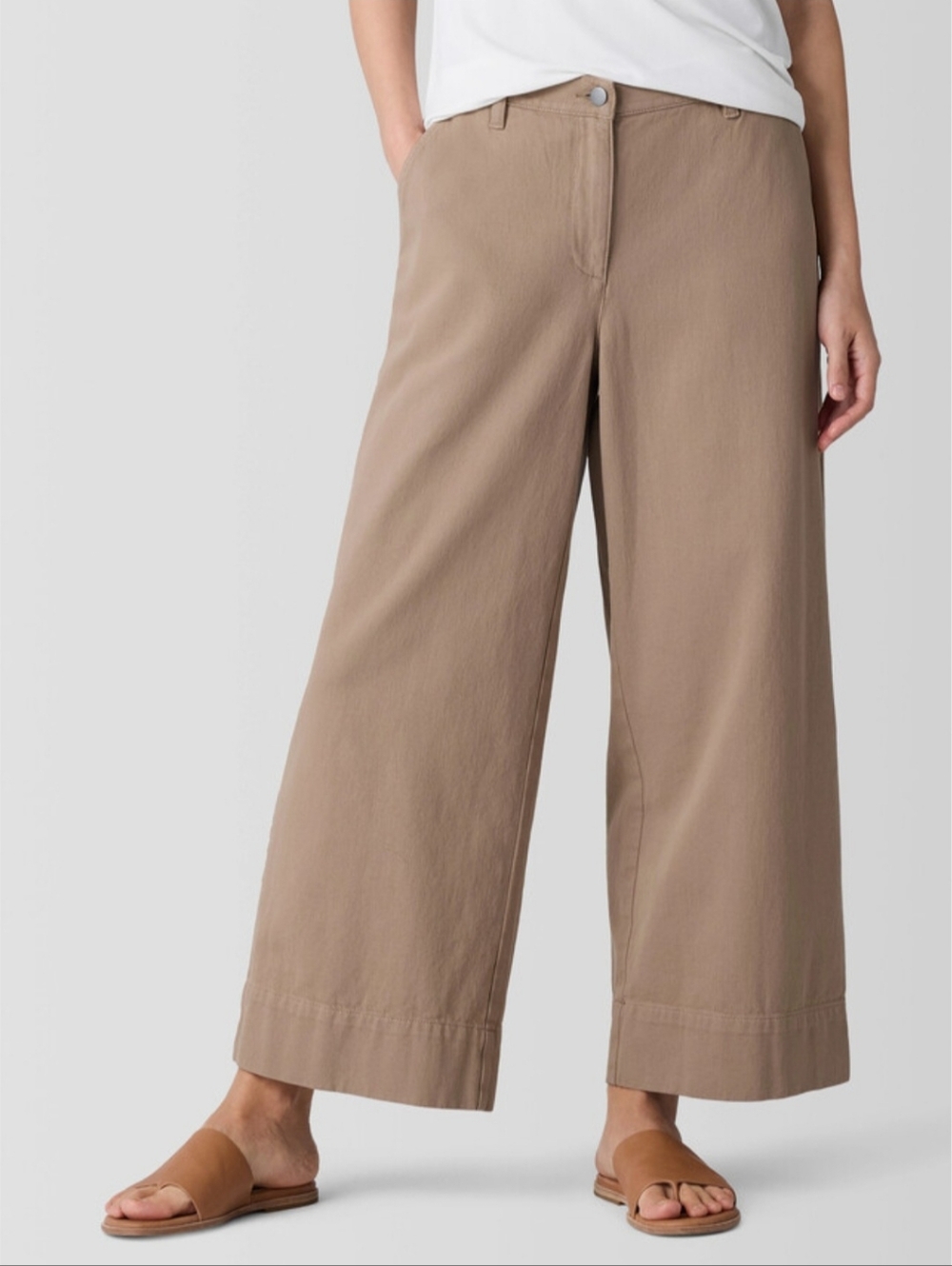Eileen Fisher Garment Dyed Utility Wide Leg Pants NWT Biscuit PM